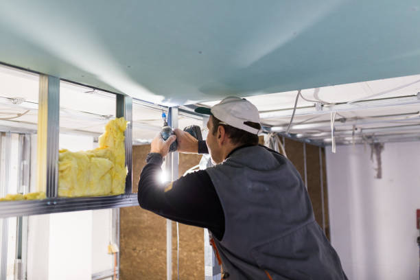 Best Reflective Insulation  in Union Springs, NY